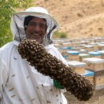تولید کننده عسل روستاژ