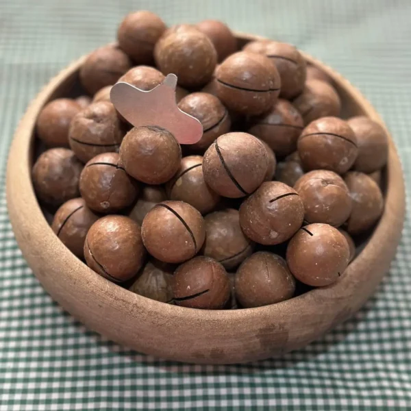 فندق ماکادمیا