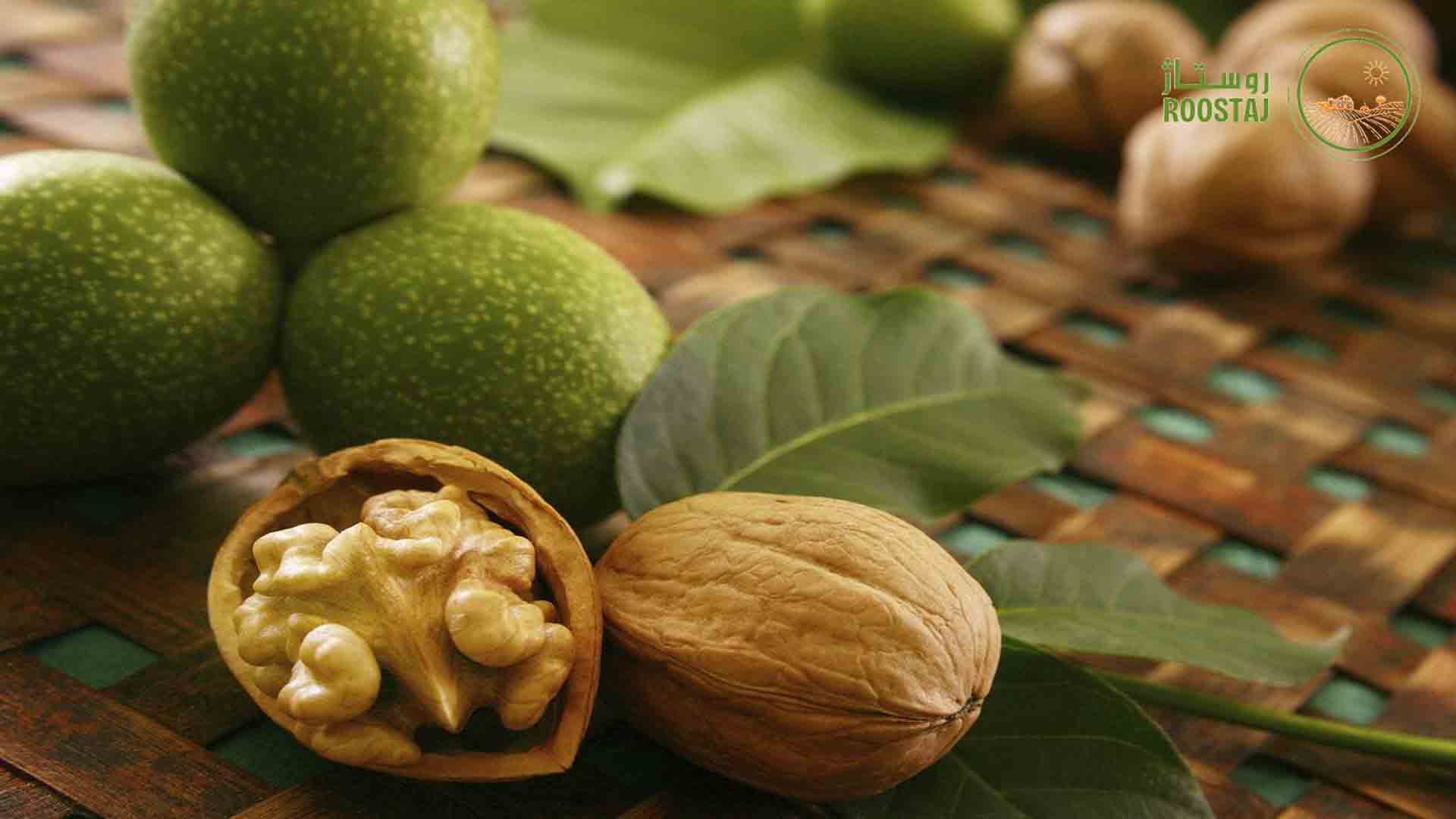 خواص مغز گردو