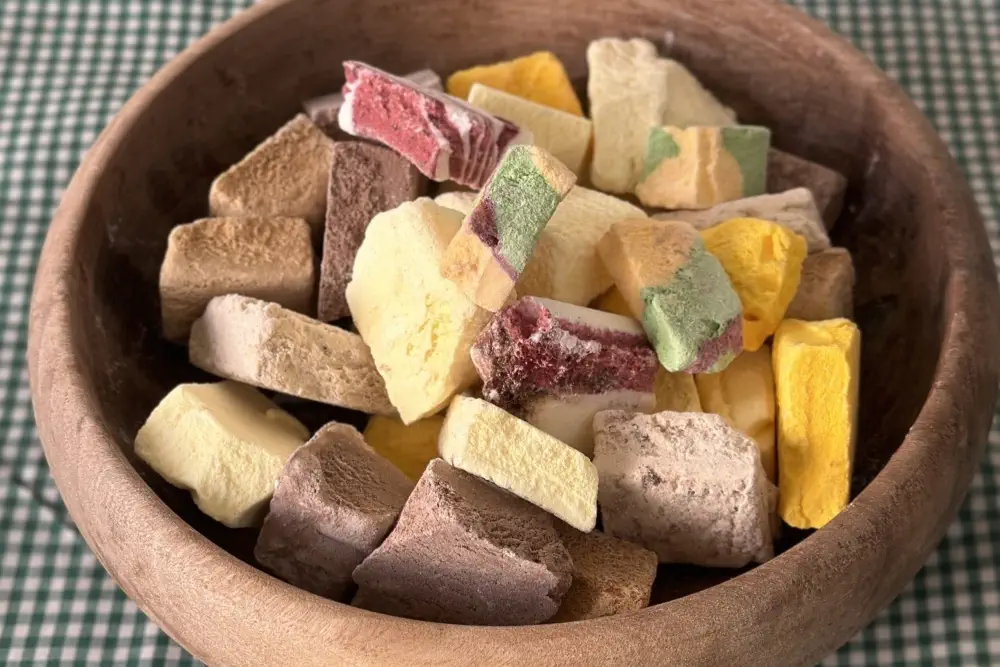 نکات مهم برای تهیه بستنی خشک خانگی