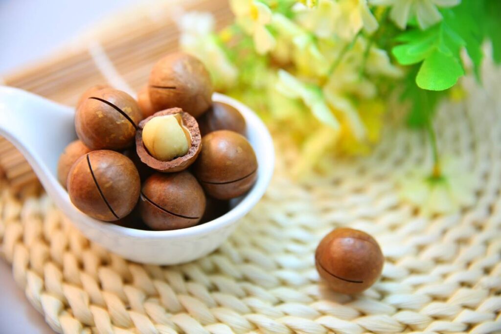 نکات خرید و نگهداری ماکادمیا